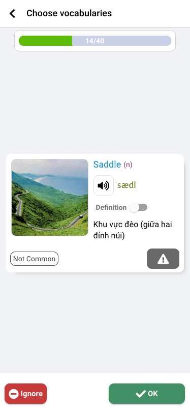 Choose the right vocabulary