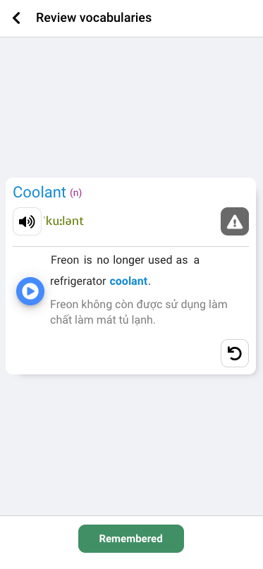 Review vocabularies by Flashcard